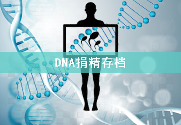 DNA辫浵